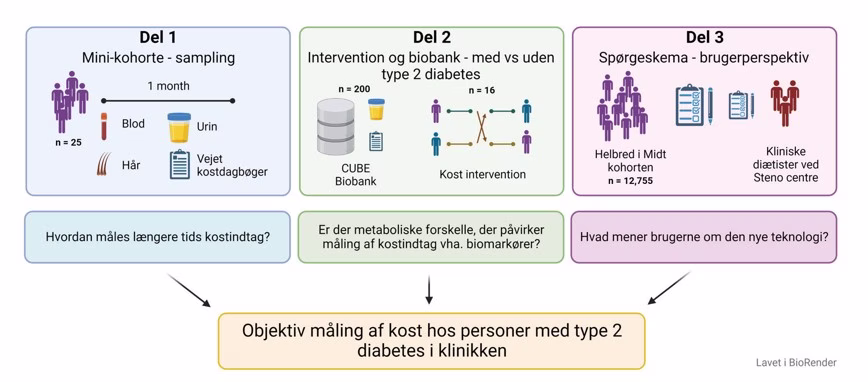 Objektiv Måling Af Kost