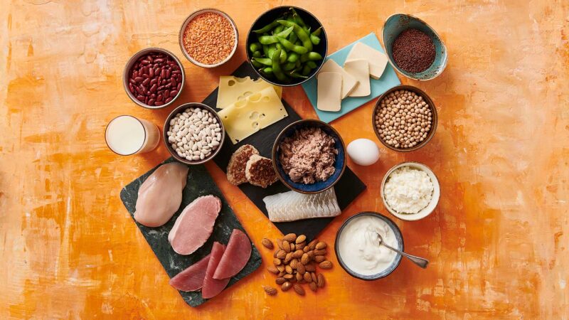 Protein