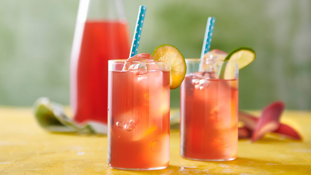 Rabarbersaft Web